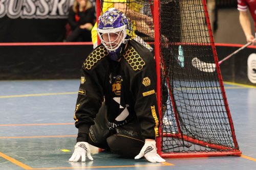 20260103 HovslattVisby 0421