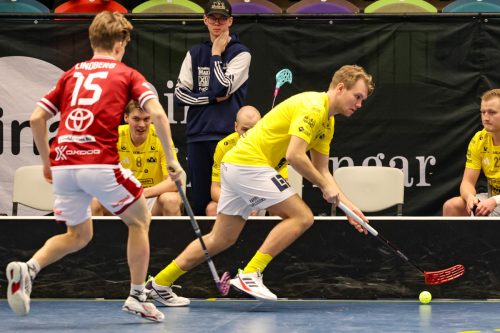 20260103 HovslattVisby 0425