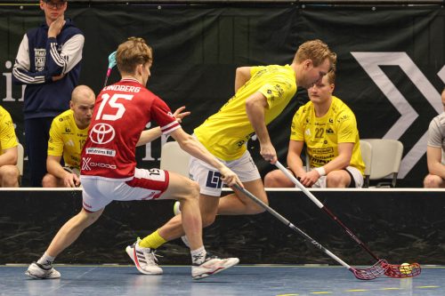 20260103 HovslattVisby 0426