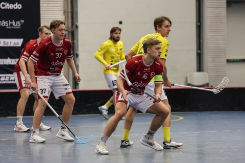 20260103 HovslattVisby 0432