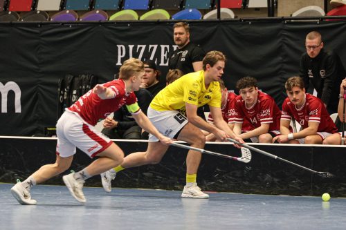 20260103 HovslattVisby 0433