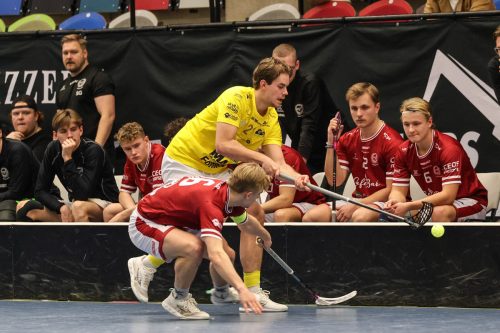 20260103 HovslattVisby 0434