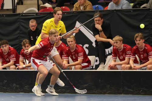 20260103 HovslattVisby 0435