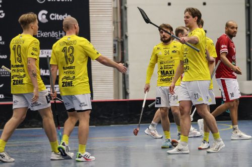 20260103 HovslattVisby 0437