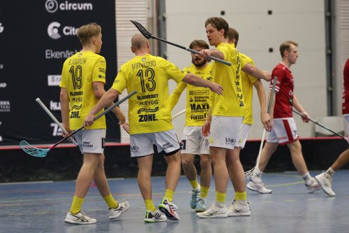 20260103 HovslattVisby 0439