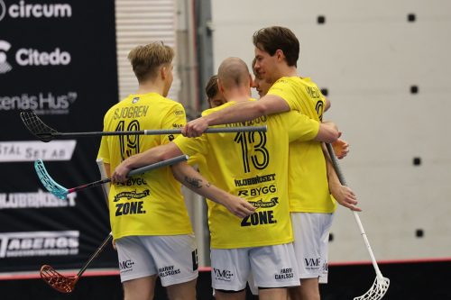 20260103 HovslattVisby 0440