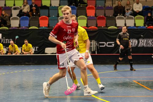 20260103 HovslattVisby 0445