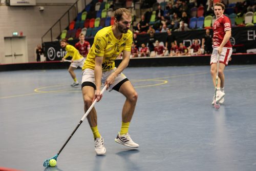 20260103 HovslattVisby 0447