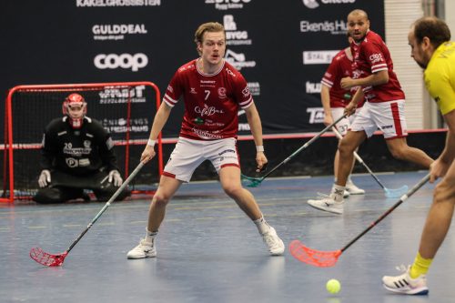 20260103 HovslattVisby 0450