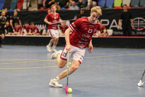 20260103 HovslattVisby 0453