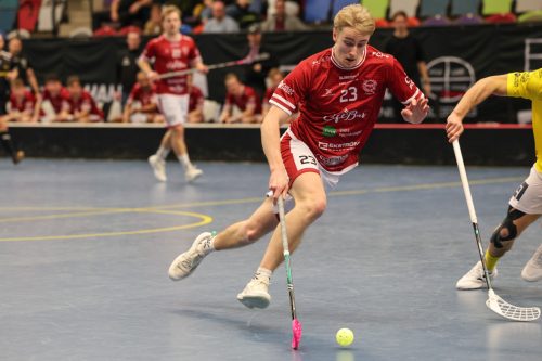 20260103 HovslattVisby 0454