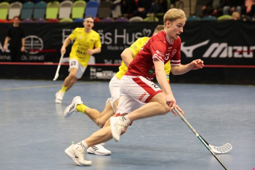 20260103 HovslattVisby 0455