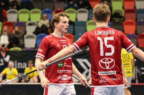 20260103 HovslattVisby 0458