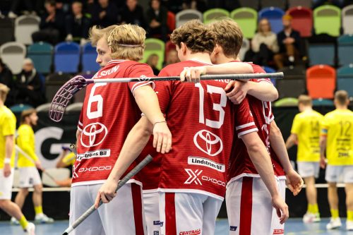 20260103 HovslattVisby 0460