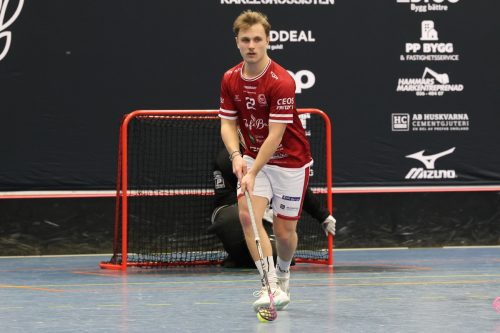 20260103 HovslattVisby 0469