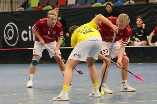 20260103 HovslattVisby 0471