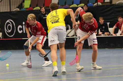 20260103 HovslattVisby 0472