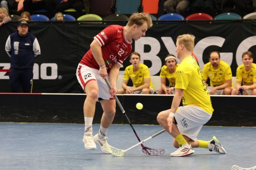 20260103 HovslattVisby 0473