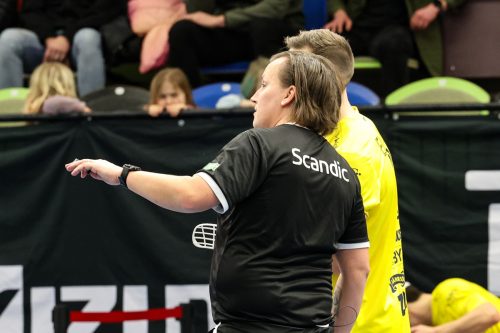 20260103 HovslattVisby 0474