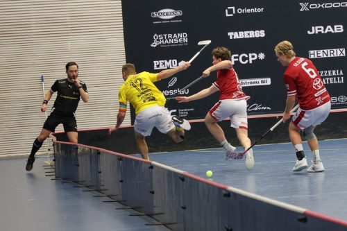 20260103 HovslattVisby 0476