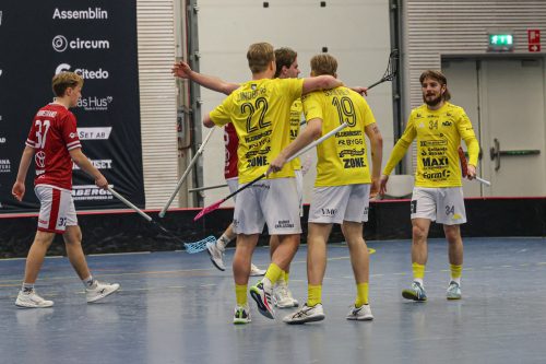 20260103 HovslattVisby 0482