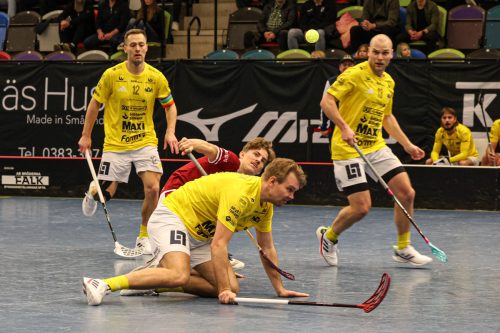 20260103 HovslattVisby 0490