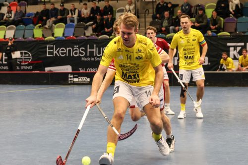 20260103 HovslattVisby 0493