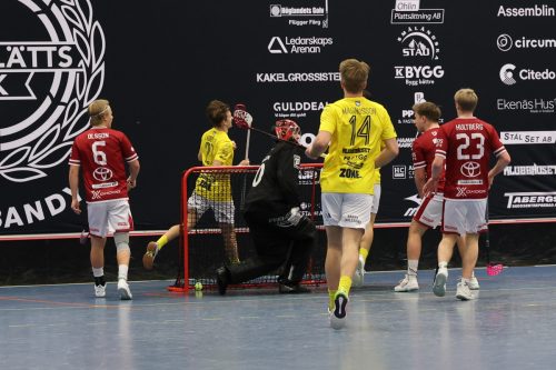 20260103 HovslattVisby 0494