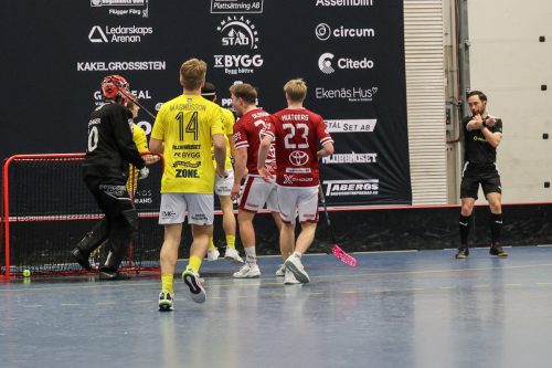 20260103 HovslattVisby 0495