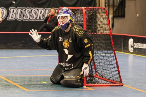 20260103 HovslattVisby 0502