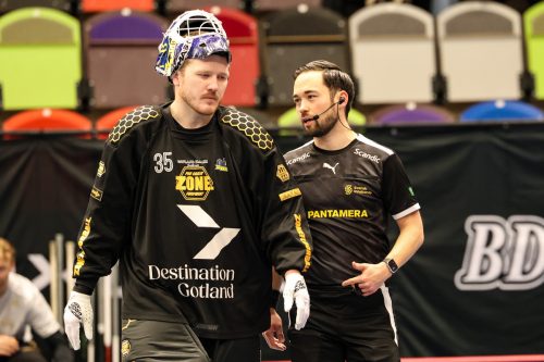 20260103 HovslattVisby 0507