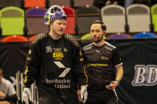 20260103 HovslattVisby 0508