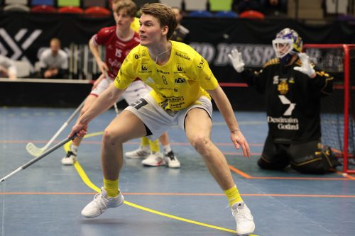 20260103 HovslattVisby 0509