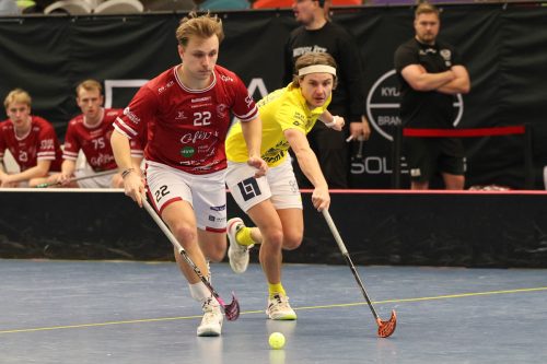 20260103 HovslattVisby 0515