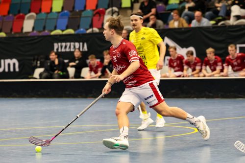 20260103 HovslattVisby 0518