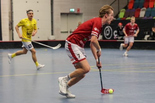 20260103 HovslattVisby 0520