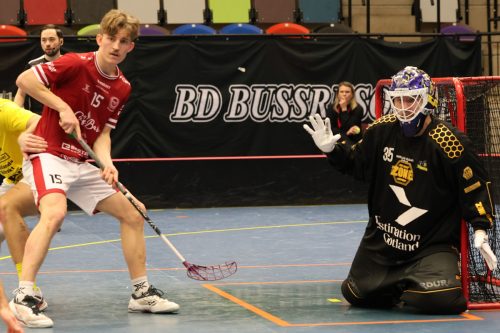 20260103 HovslattVisby 0523