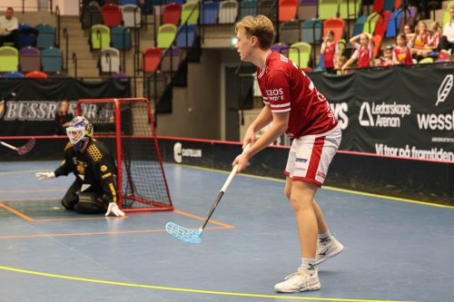 20260103 HovslattVisby 0525