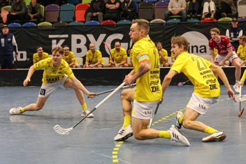 20260103 HovslattVisby 0526