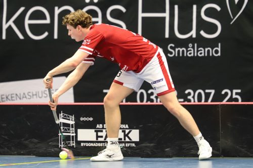 20260103 HovslattVisby 0530