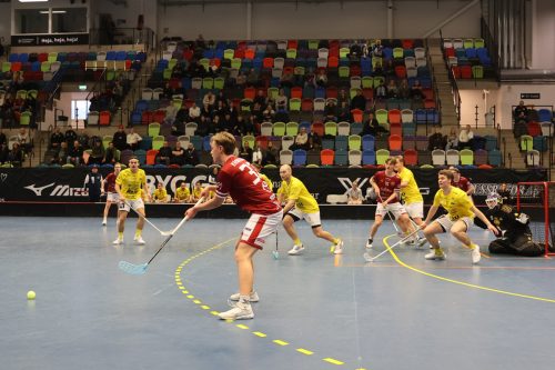 20260103 HovslattVisby 0535