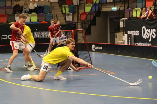 20260103 HovslattVisby 0541