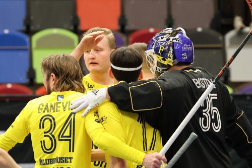 20260103 HovslattVisby 0556