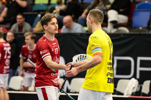 20260103 HovslattVisby 0559