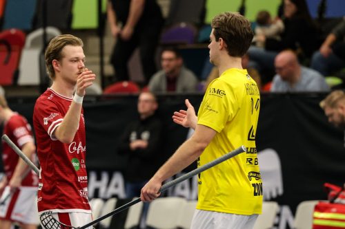 20260103 HovslattVisby 0562