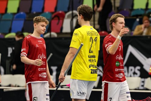 20260103 HovslattVisby 0563