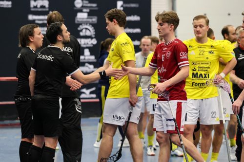 20260103 HovslattVisby 0569