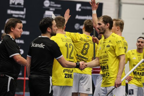 20260103 HovslattVisby 0571