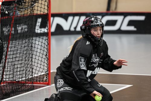 20260102 PixboStorvreta 0005