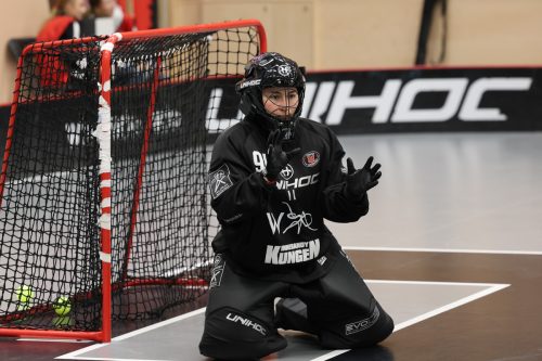 20260102 PixboStorvreta 0016